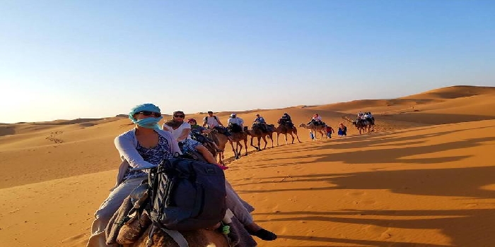 Experience Morocco - imperial cities, desert, mountains, beach!